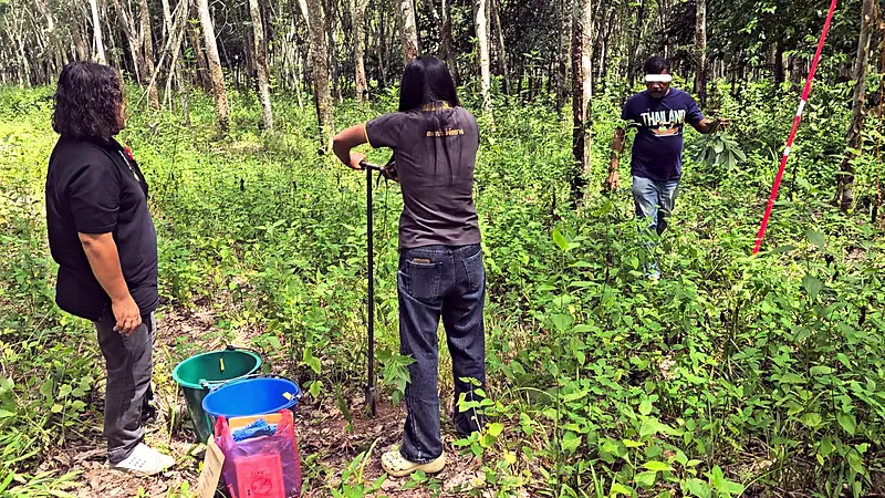 Sampling soil and rubber leaves