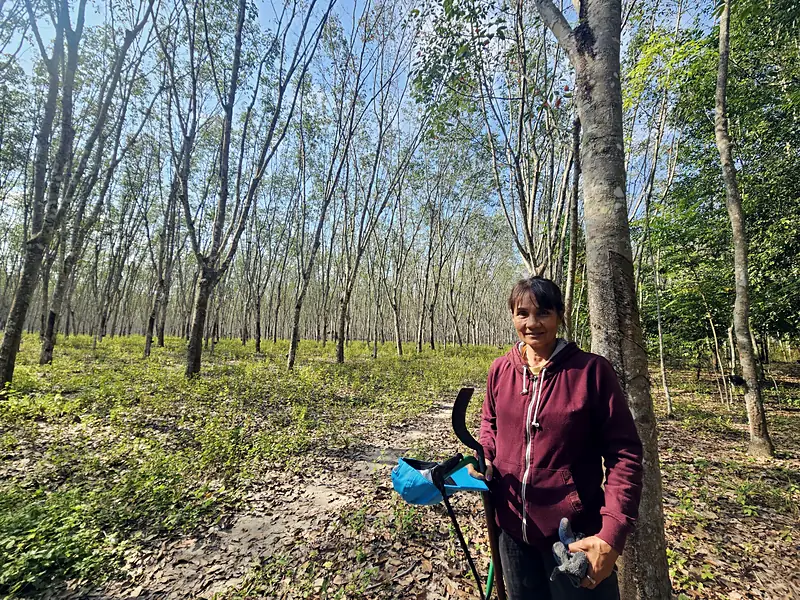 My mother and her rubber farm