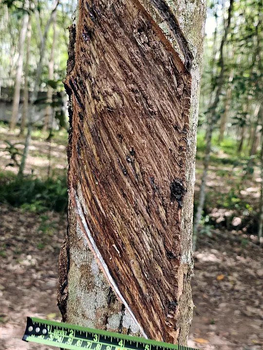 Recording a tapping panel